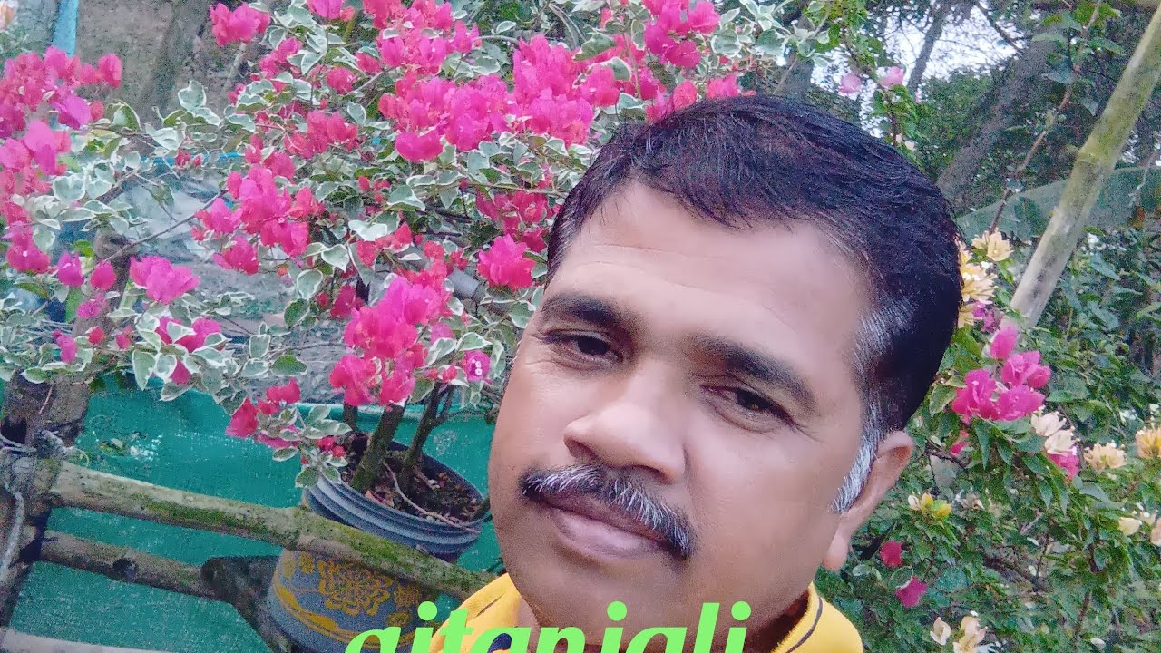 Welcome all my friends you see my garden 