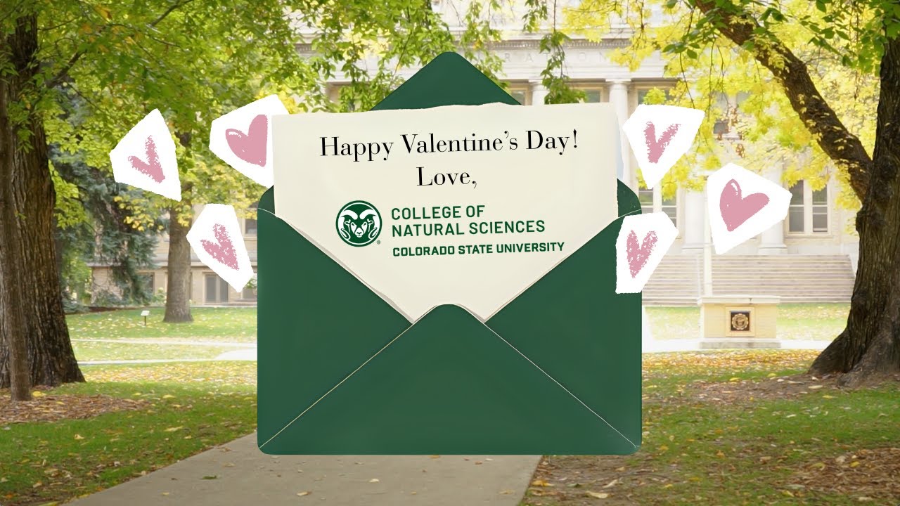 Happy Valentine's Day 2026!