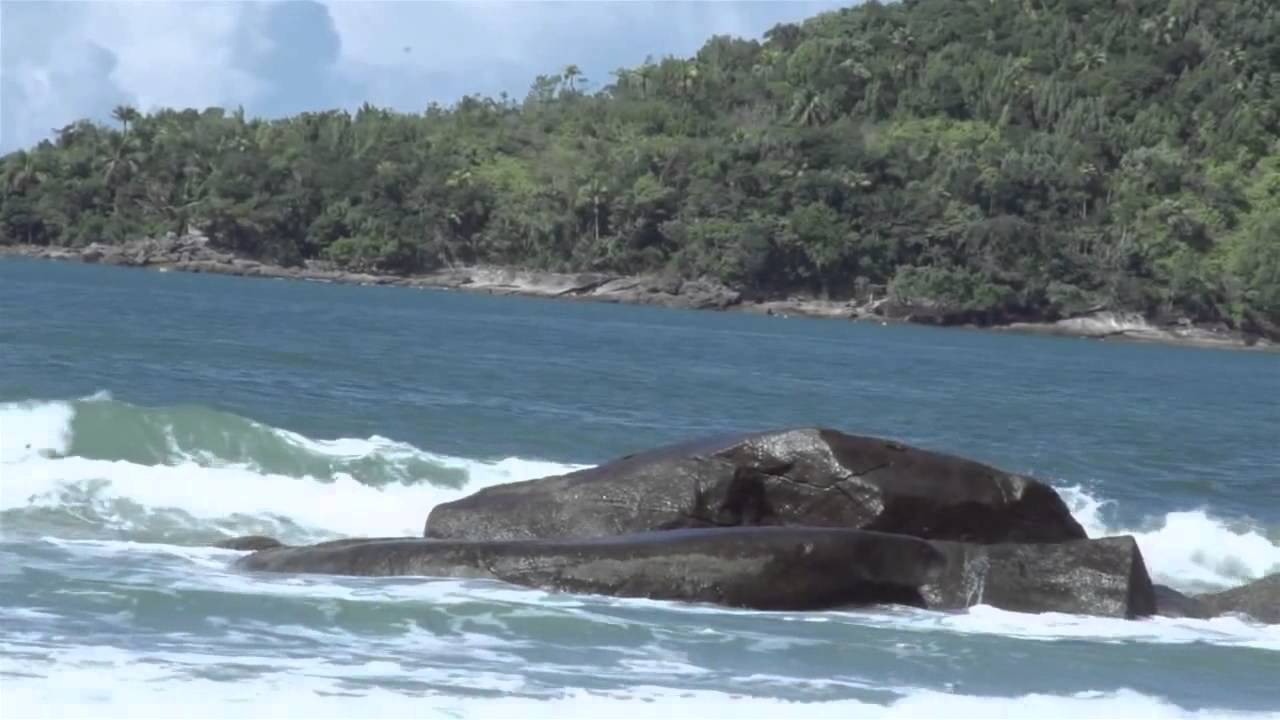 Casamento na Praia Papillon Eventos - Ubatuba - SP