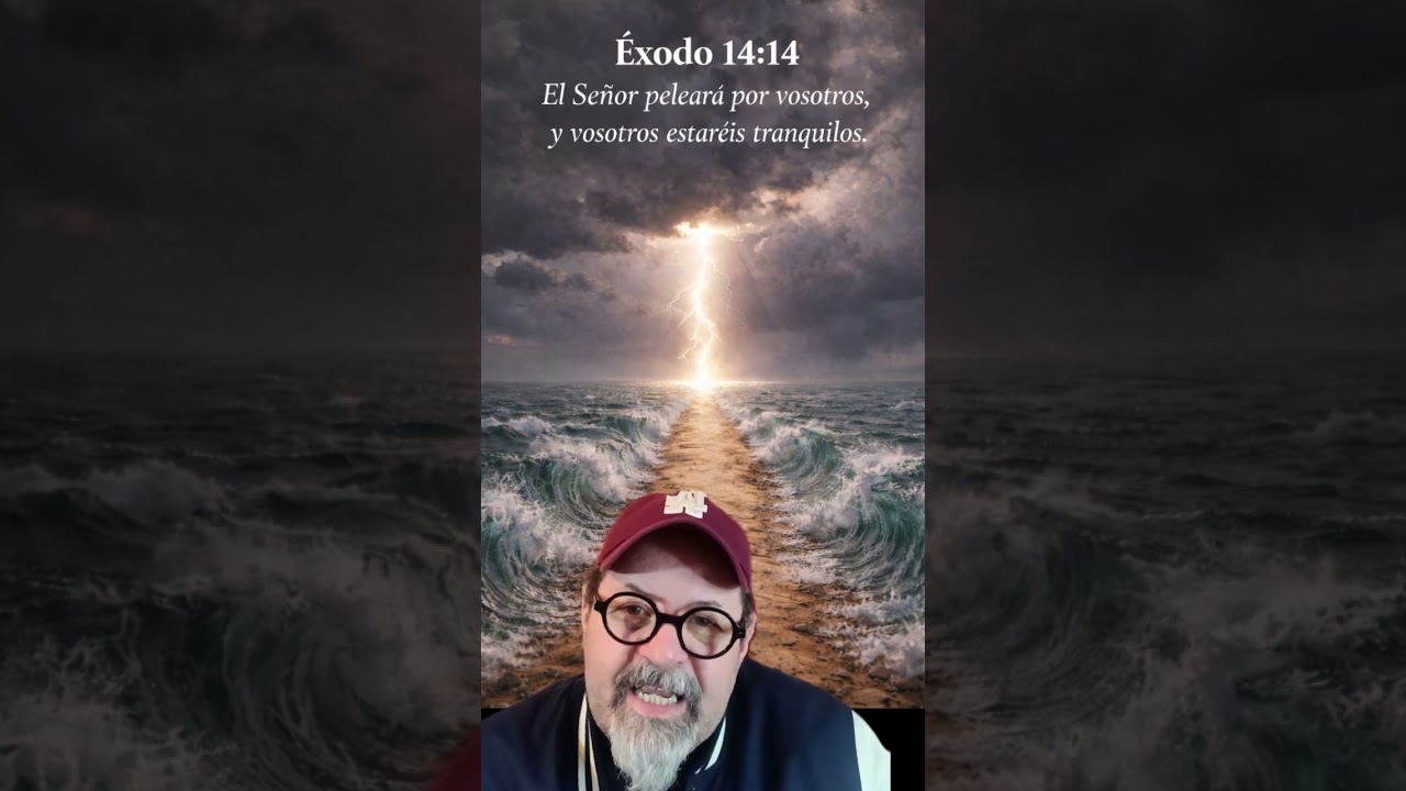 Jehova peleara por vosotros