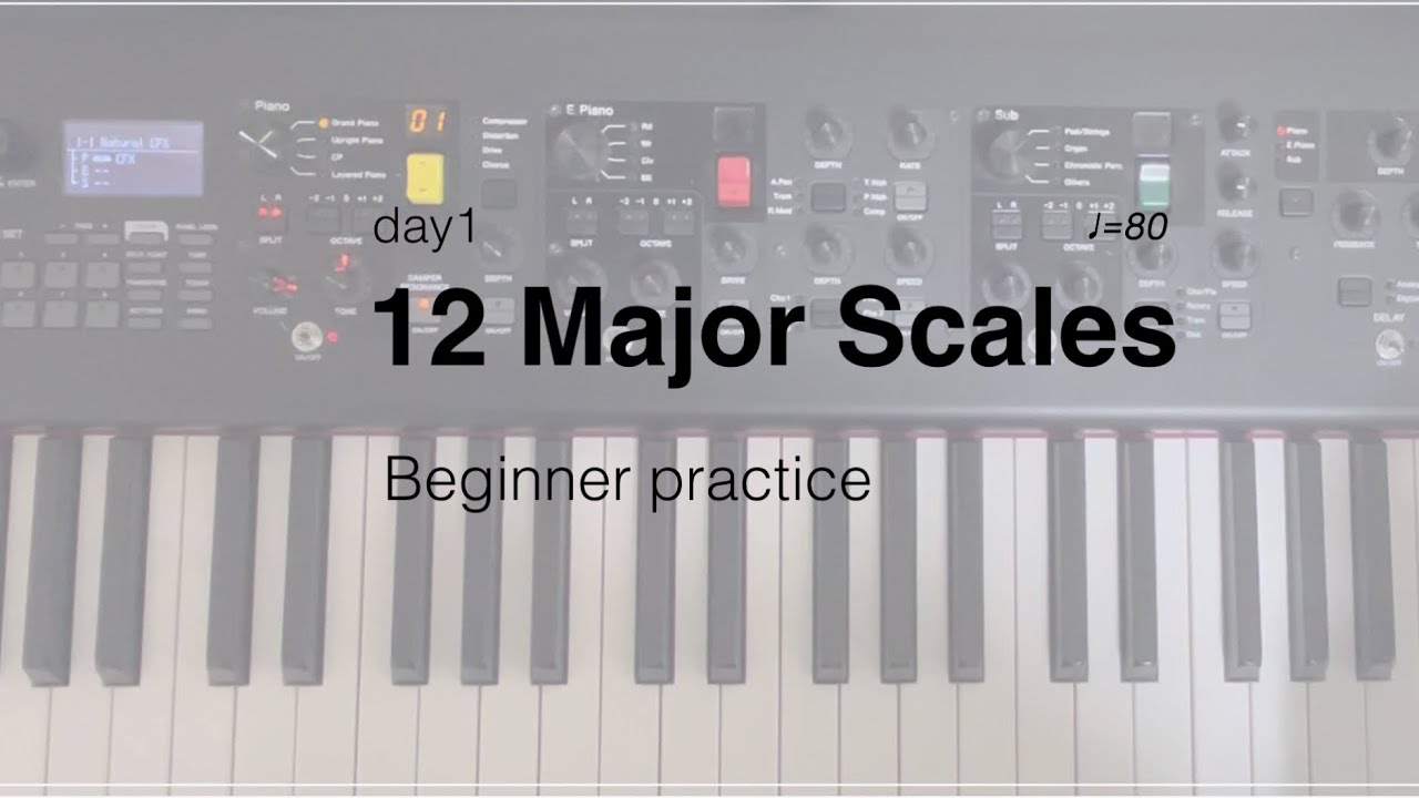Day 1 | Beginner Piano │ 12 Major Scales Practice 