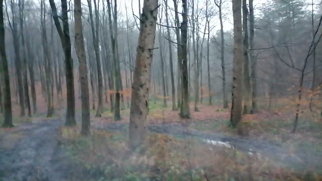Then the rain turned to snow 🌨️And a song 🎵