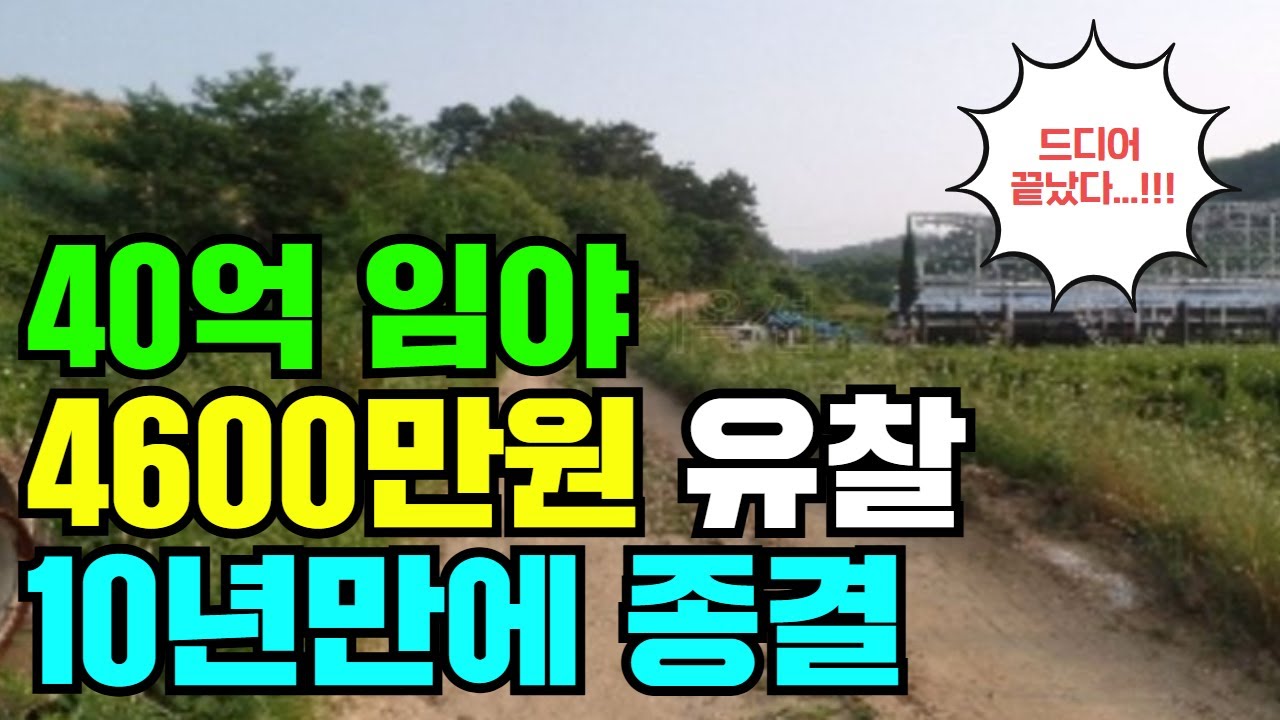 40억 임야 4600만원 까지 유찰 10년만에 종결  !!!