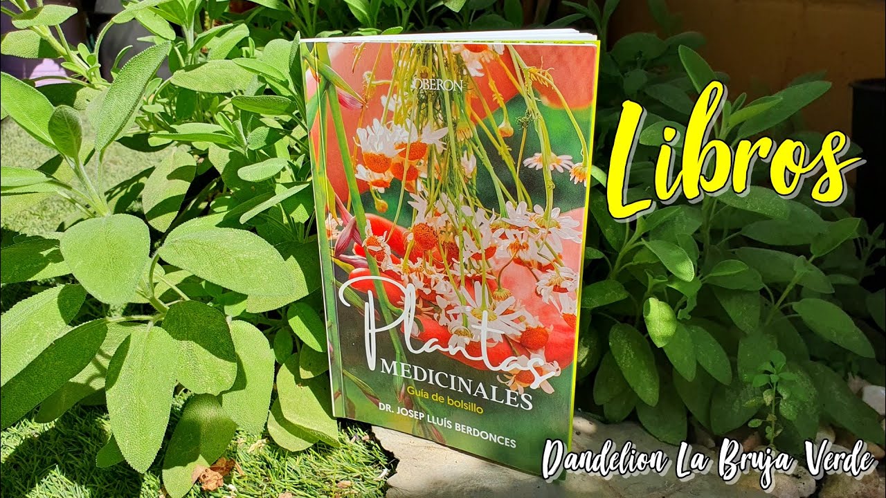 Plantas medicinales, guía de bolsillo, de Dr. Josep Lluis Berdonces (Libro del mes agosto 2024)