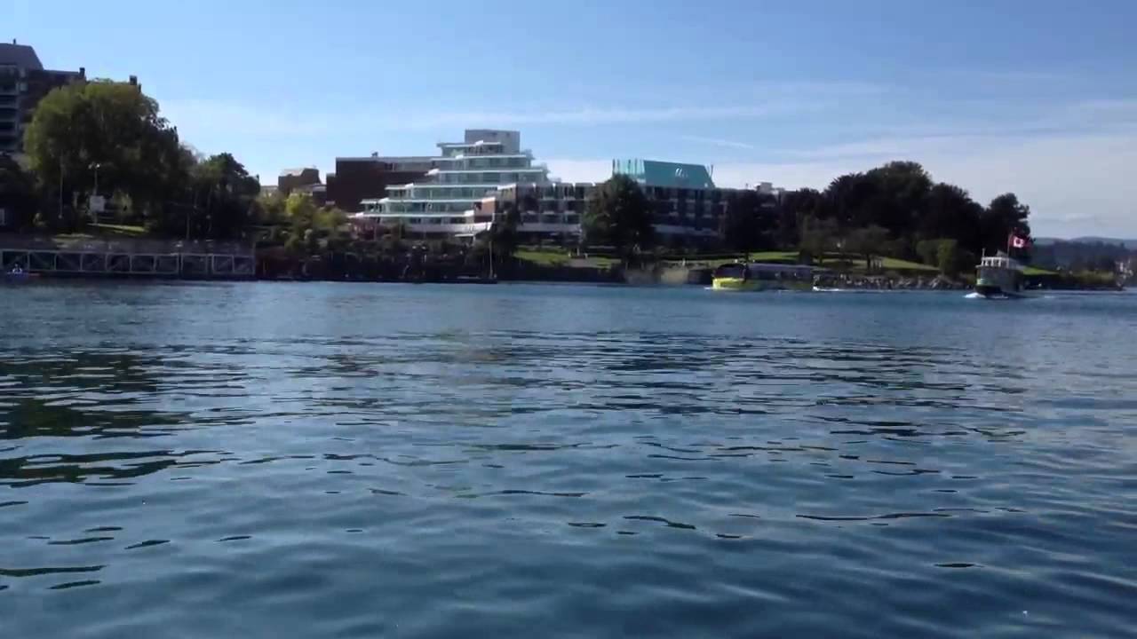 Victoria BC Amphibious Hippo Bus