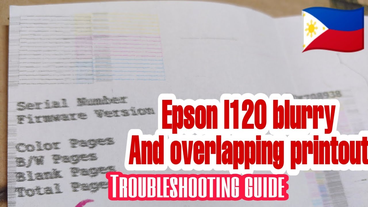 Epson l120 blurry and overlapping printout | applicable most L series