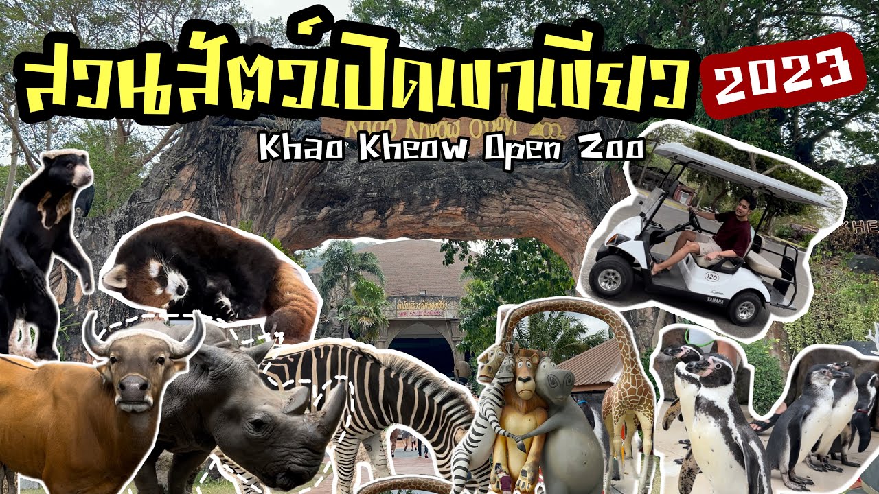 เที่ยวสวนสัตว์เปิดเขาเขียว | Khao Kheow Open Zoo 2023 (ให้อาหารสิงโตและเพนกวิน ฟลามิงโกโชว์เต้น)