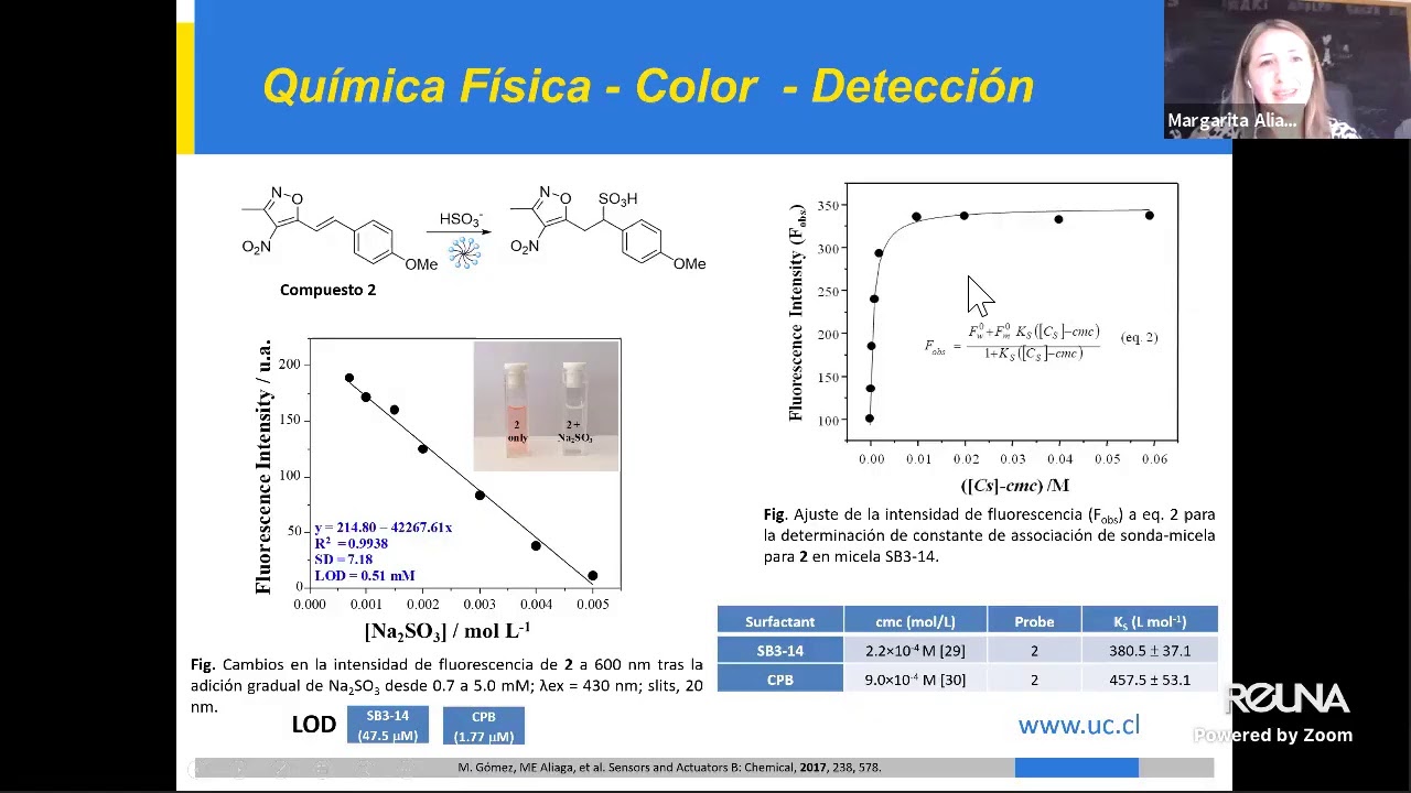 Webinar: “Integrando química física, color y detección”
