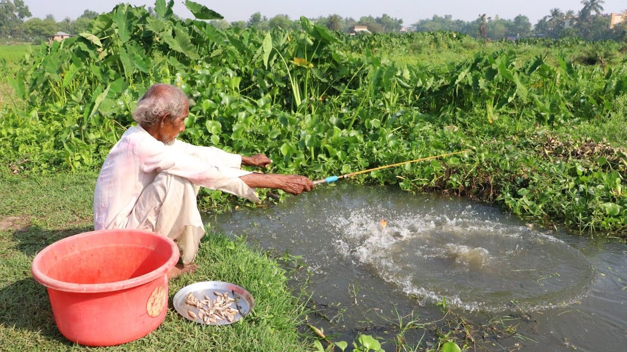 Fishing Video || Anyone can catch fish in the canal by following Grandpa's technique || Hook fishing