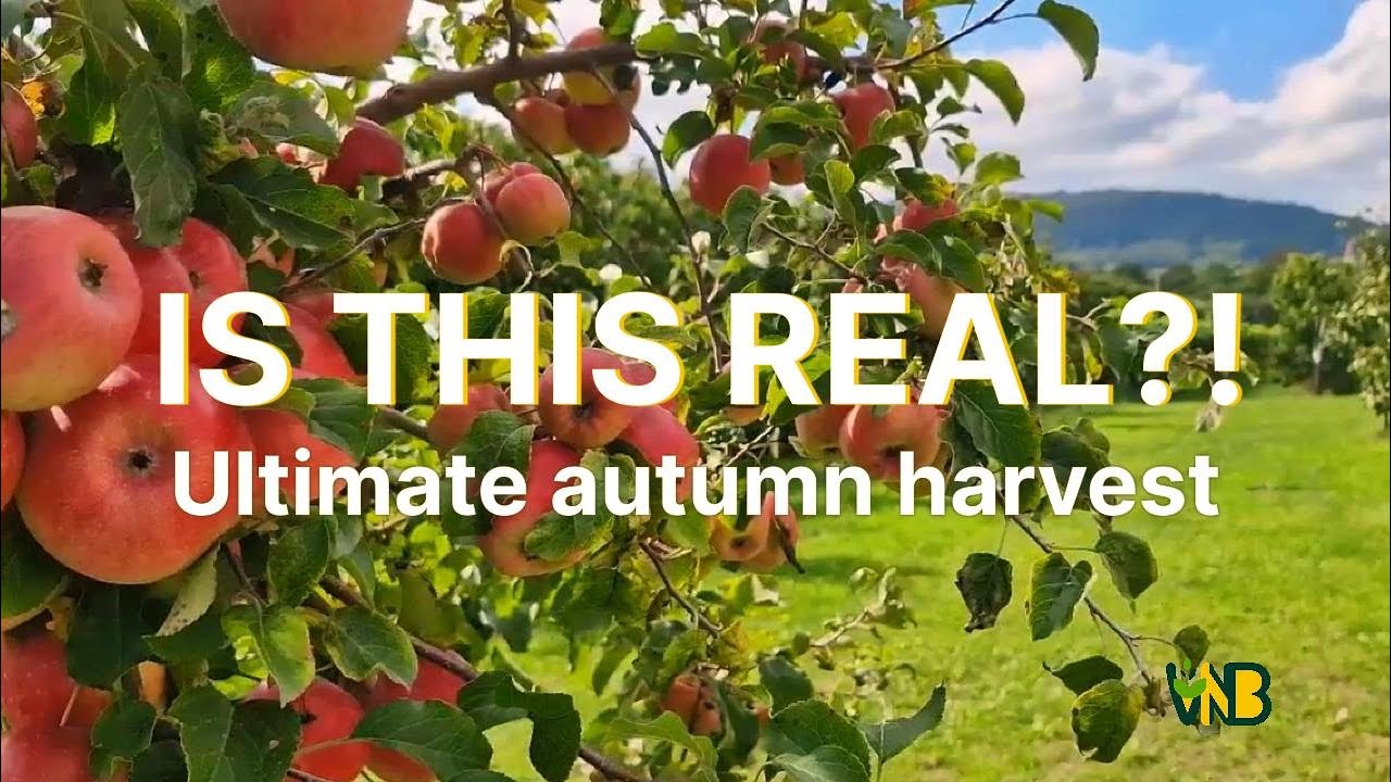 Apple Picking Paradise Just 1 Hour From Vienna | Altenriederer Farm Adventure