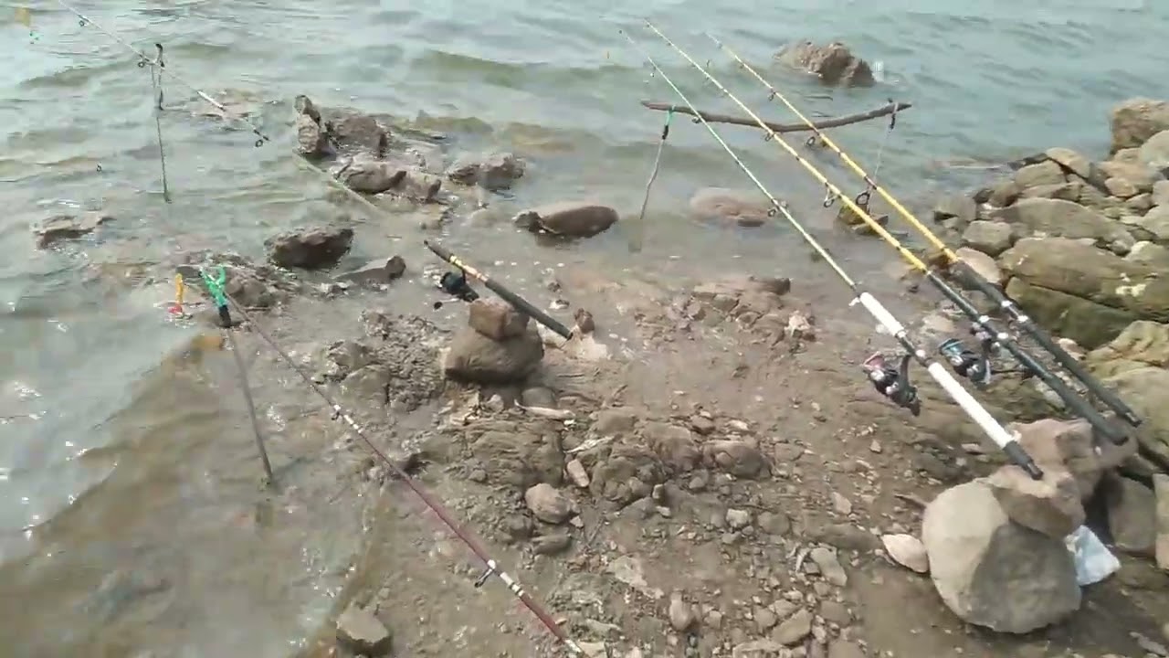 shahpur dam ki new update 4.8.2024