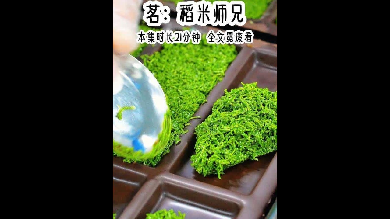 稻米师兄#评分9.5分以上的小说 #盗墓笔记 #双男主