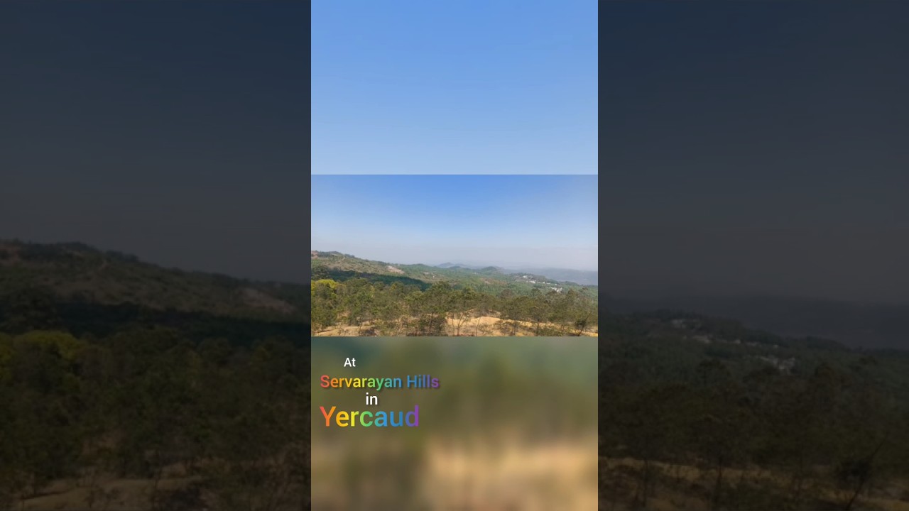 Servarayan Hills in Yercaud #yercaud #bablueye