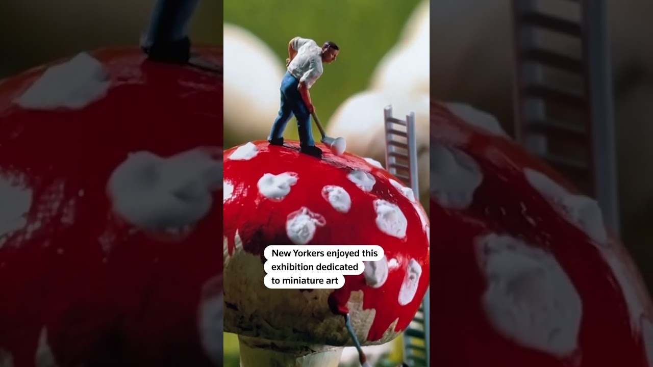 Stories that made us smile this week