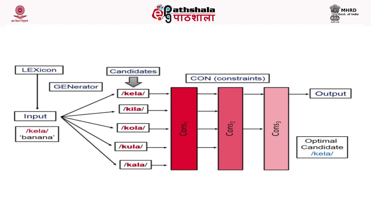 Optimality Theory 1
