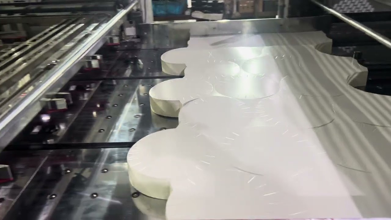 DAKIOU-PY HSP roll die cutting and stripping machine with palletizing online