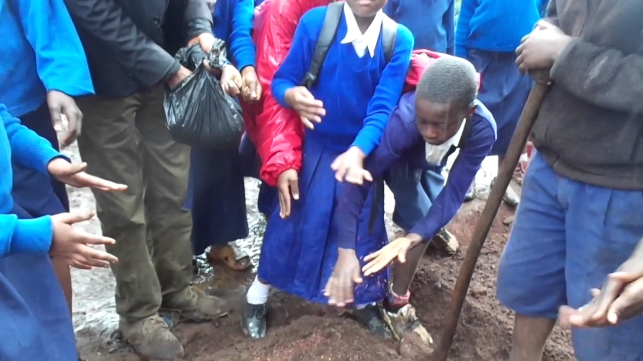 FORESTNATION in Tanzania