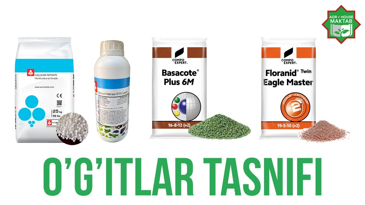 O'G'ITLAR TASNIFI #maktab #bilim #agro #agriculture