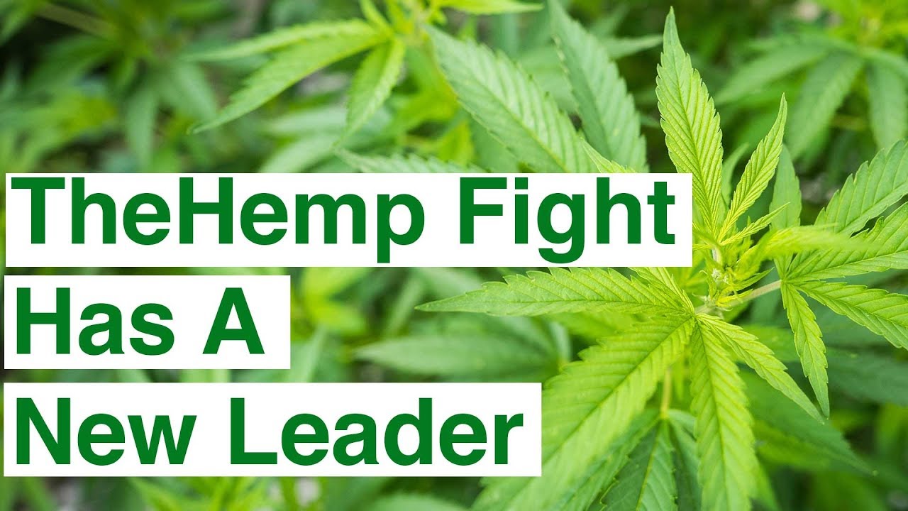 The Hemp Fight Has A New Leader