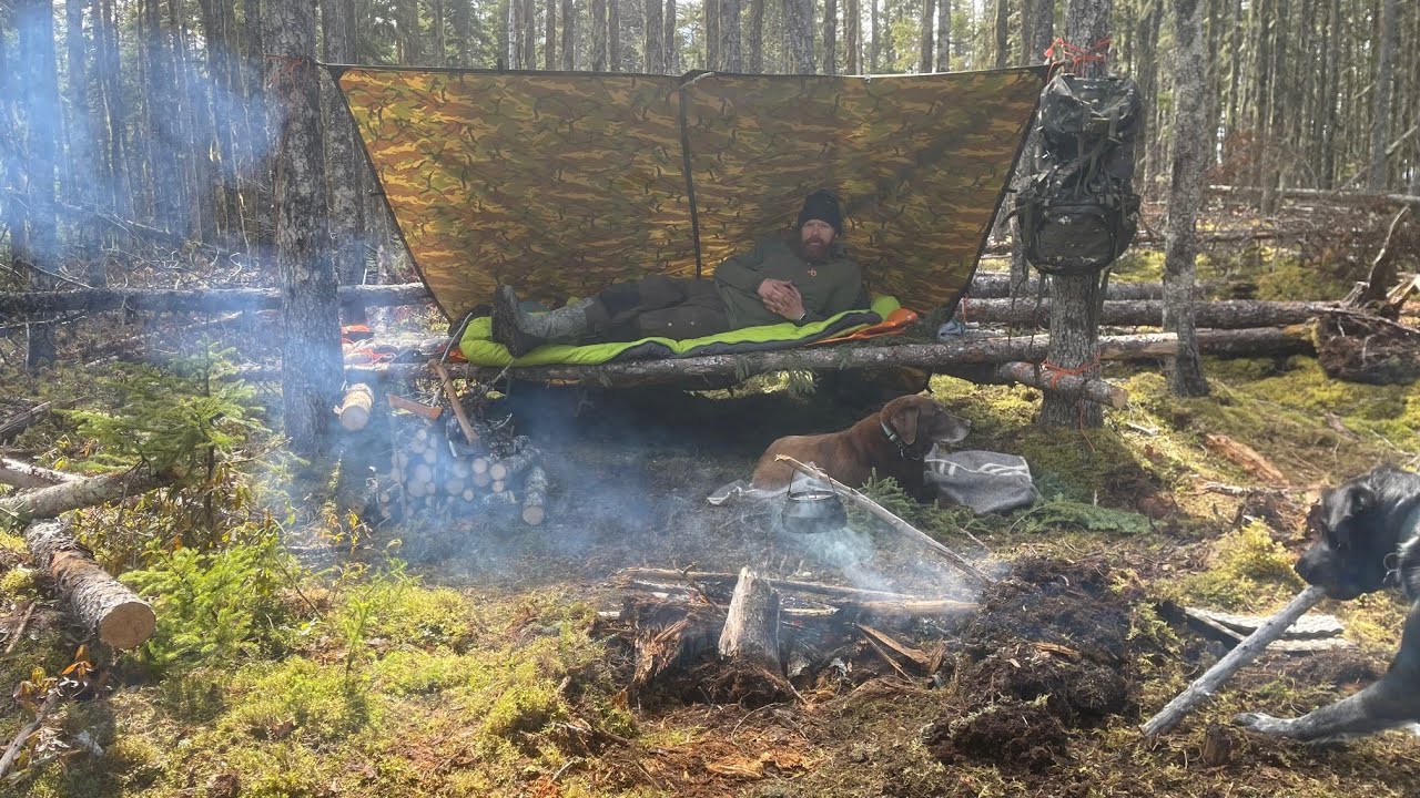 2 Nights Early Spring Bushcraft Camp With My 2 Dogs!!