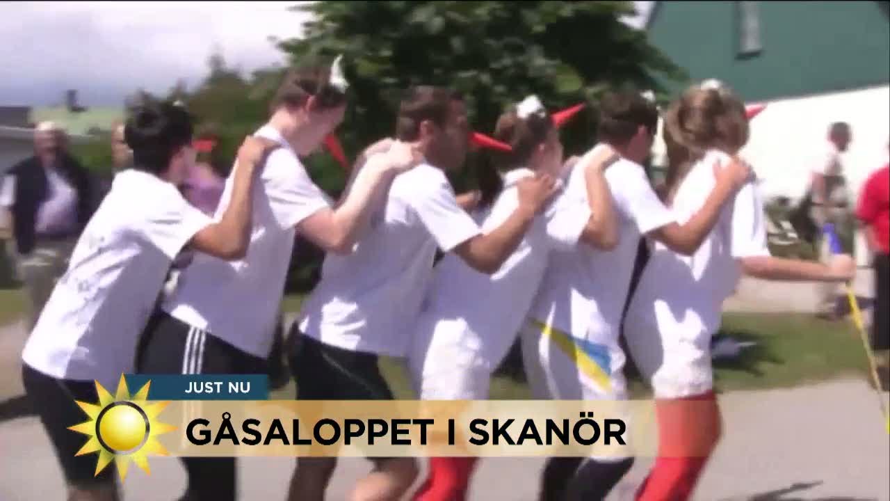 Skrattfest på gåsalopp i Skanör - Nyhetsmorgon (TV4)