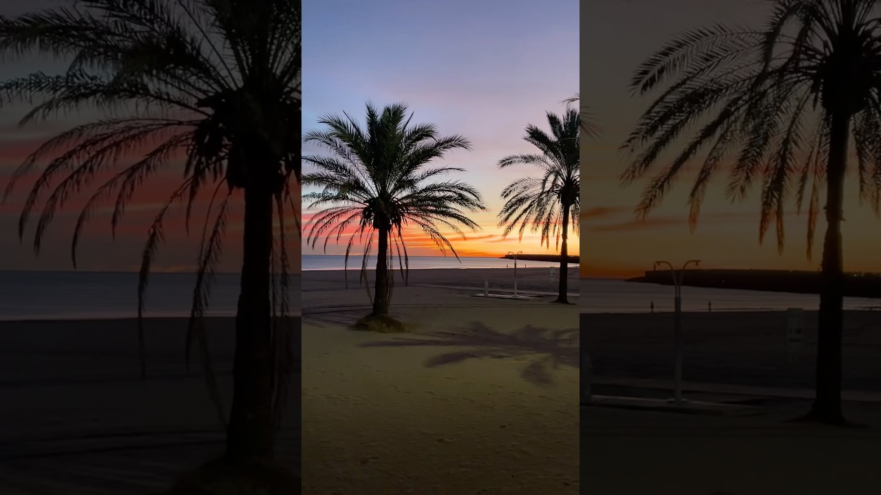 Beautiful Sunrise in Gandía in December 🌴