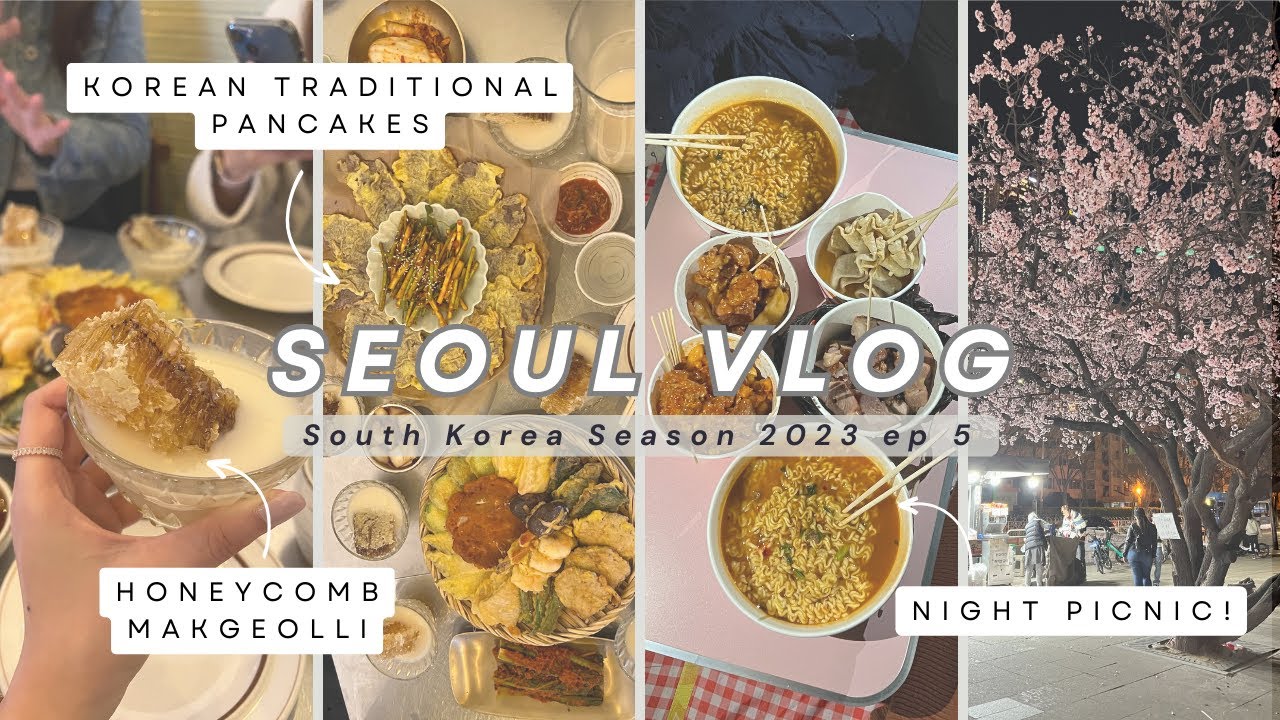 seoul vlog 🇰🇷  honeycomb makgeolli, korean traditional pancakes, 🧺 picnic by hangang river