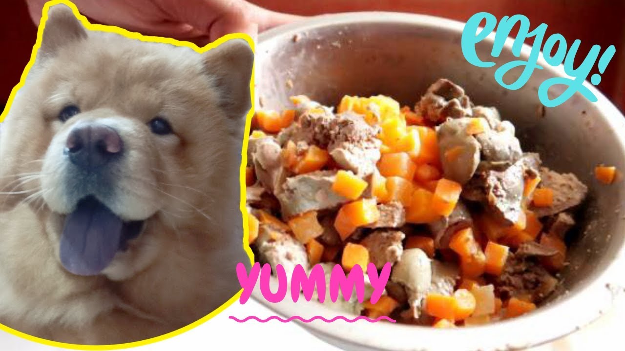 Feeding My 7 Month Old Chow Chow +  Walking Outside | Laagang Pancake