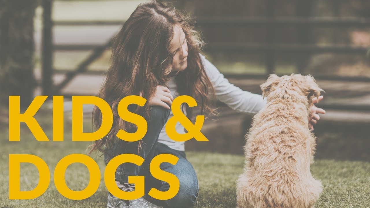 Kids and Dogs: How to Have Healthy Kid-Dog Relationships