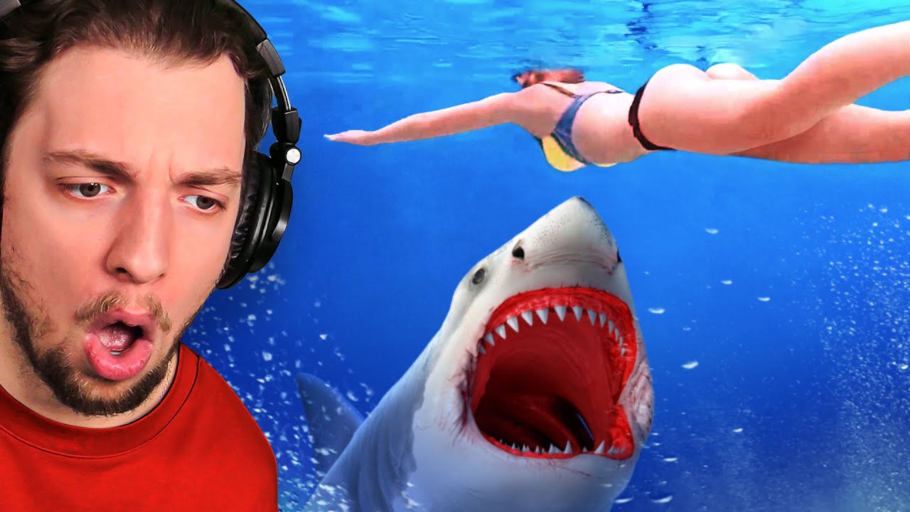 The Most UNEXPECTED Animal Encounters!