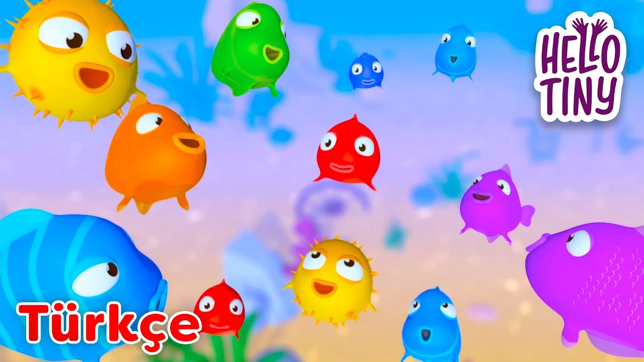 Mavi Balık Nerdesin? 🐟 | Bebekler için şarkılar | Hello Tiny Türkçe