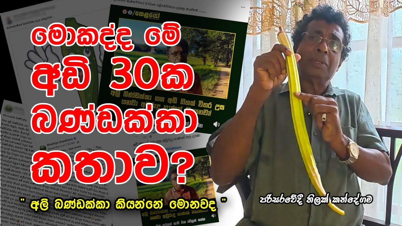 මොකද්ද මේ 