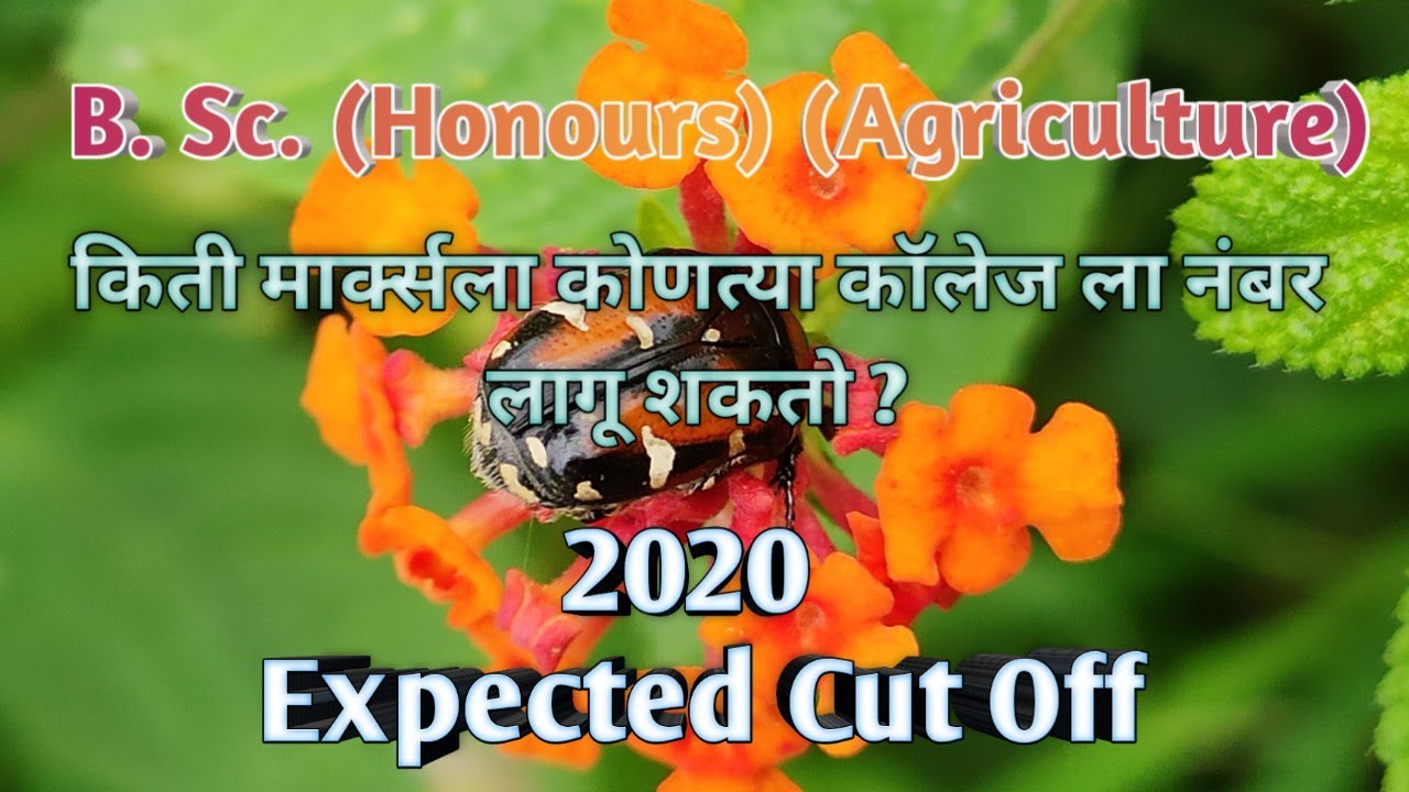 B.Sc Agri Expected Cut Off 2020 | BSc Agri Cut Off 2020 | BSc Agri Admission Process 2020