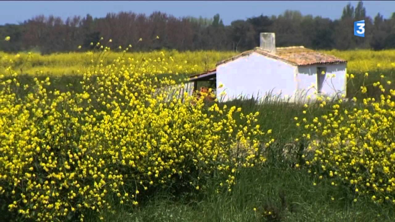 itinéraire bis Les Portes-en-Ré