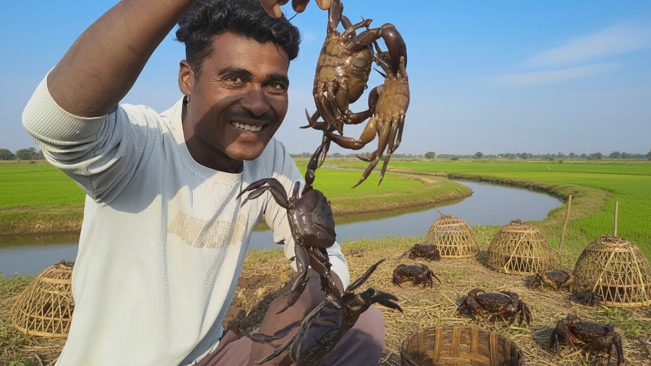 उन्हाळा दिवसांमध्ये पिंजरे लावून पकडले🤗भरपूर खेकडे नुसते🤭मोठे मोठे चिंबोरी🦀🦀खेकडा चिंबोरी ट्रॅप
