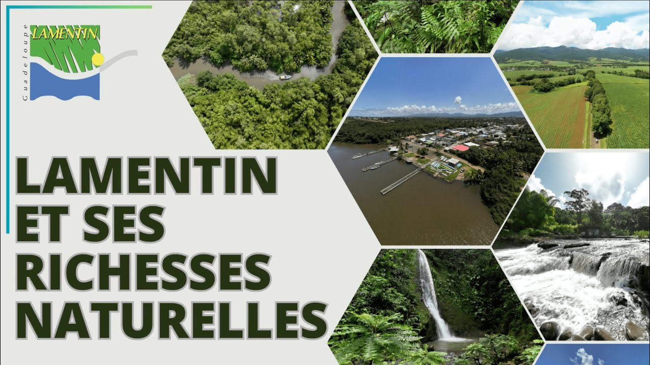 🌿Biodiversité Guadeloupe - Lamentin Ville Authentique (HD)