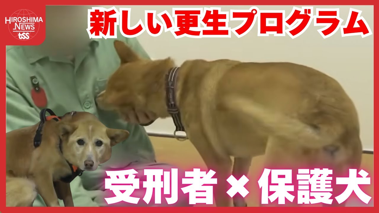 受刑者が保護犬と過ごし自らの罪に向き合う　更生に向けた新たな取り組み　広島・尾道刑務支所 (2026/01/27 18:43)