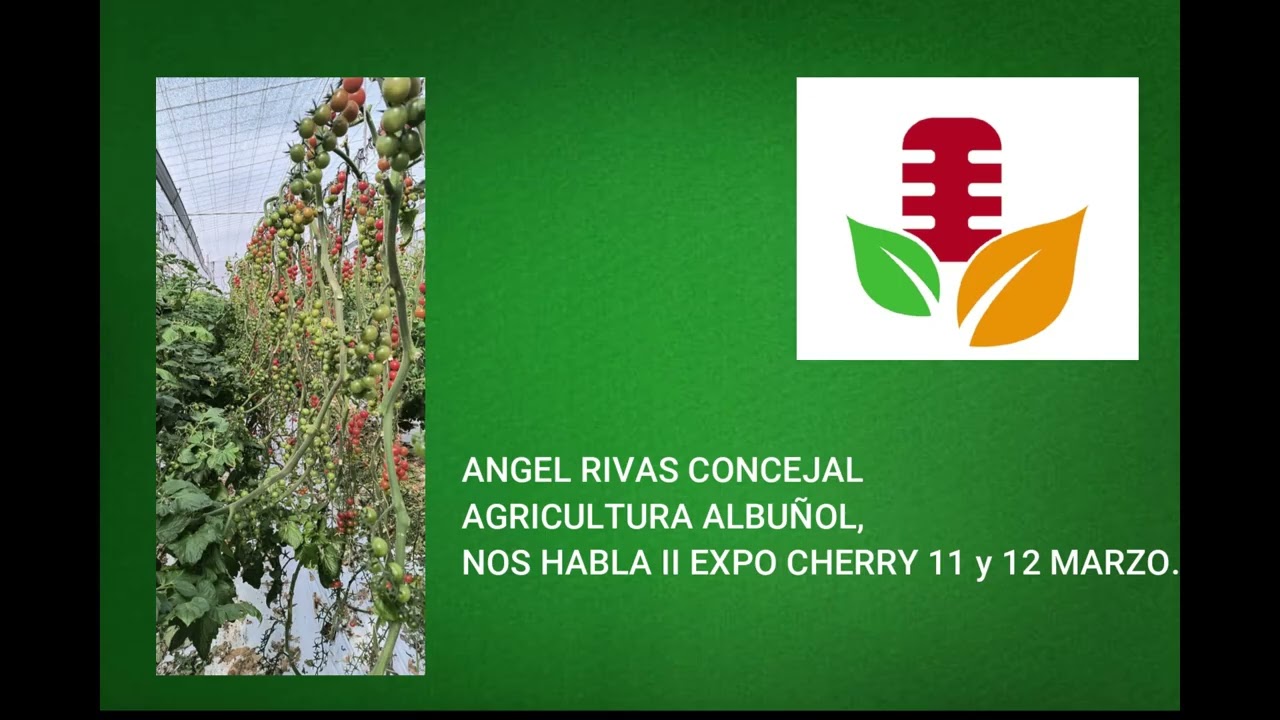 ANGEL RIVAS CONCEJAL AGRICULTURA ALBUÑOL, NOS HABLA II EXPO CHERRY 11 y 12 MARZO