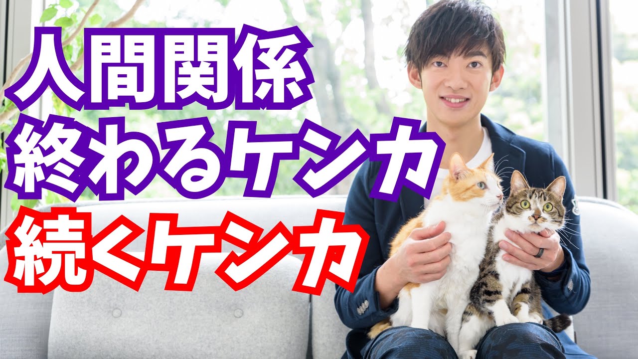【人間関係】いいケンカとヤバいケンカの違い【恋愛まで】