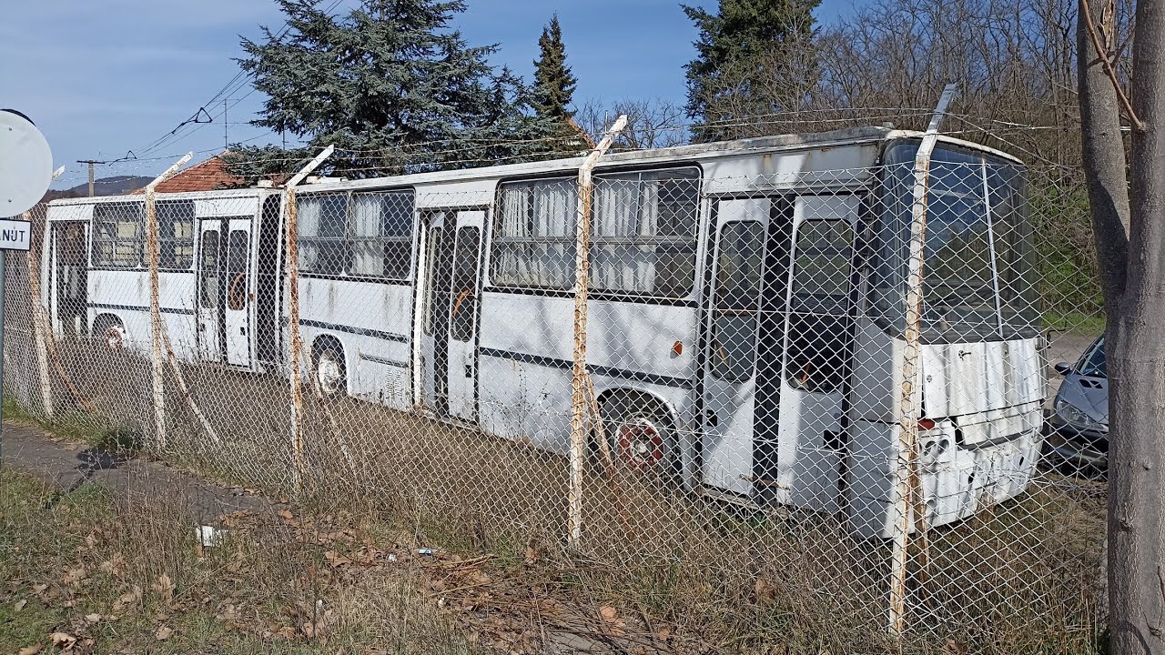 BZ ÉS IKARUS *📸* Rikári spottingol