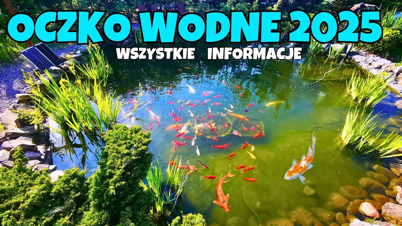 Moje oczko wodne – budowa, filtracja, dane techniczne🌿🐟HIT !!!!