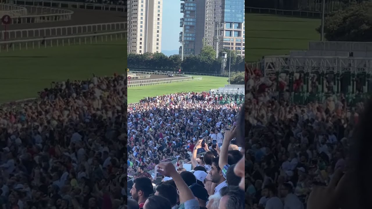 2022 Gazi Koşusu Şampiyonu Secret Power İstanbul Veliefendi Hipodromu