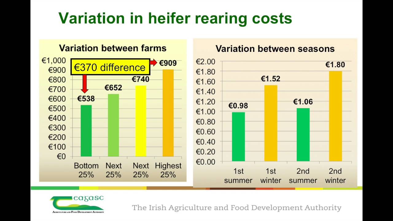 Emerging Role of Contract Rearing - Feed for Growth
