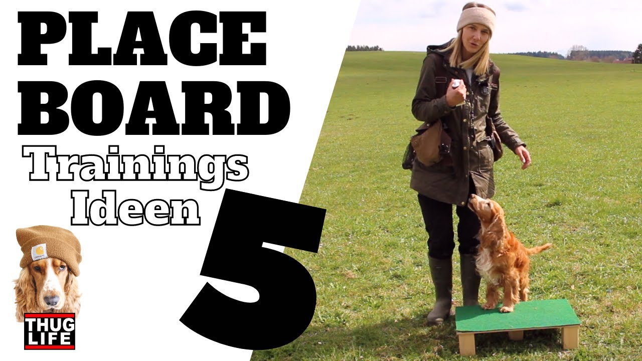 Training mit dem Placeboard - Teil 1