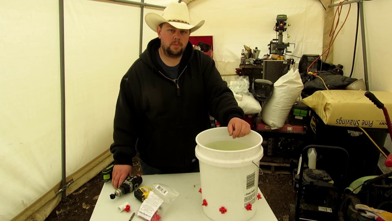How to build a chicken nipple watering bucket DIY (horizontal style nipples).  Plus outtakes!