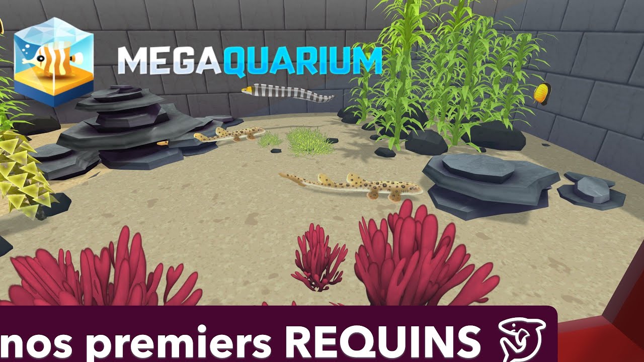 Megaquarium – Épisode 4  arrivée des premiers REQUINS 🦈