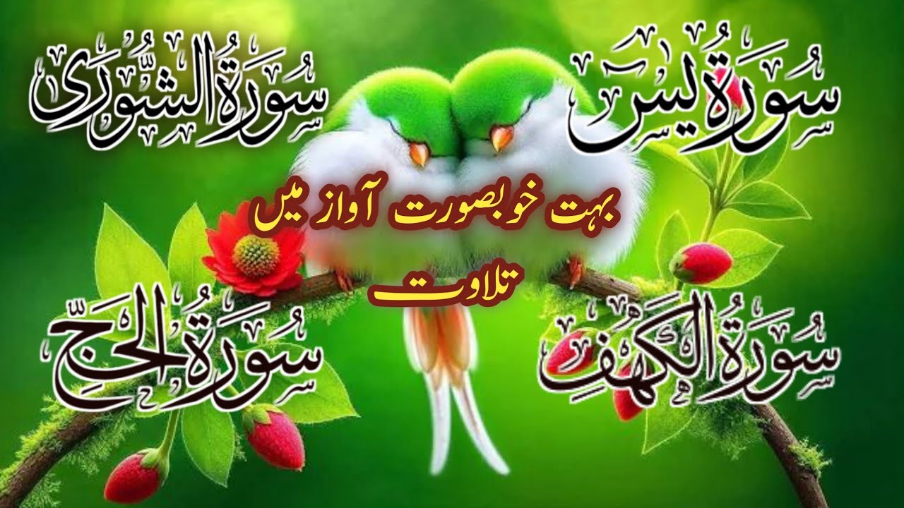 Beautiful Recitation of Surah Kahf, Surah Noor, Surah Yaseen & Surah Shura | Peaceful Tilawat