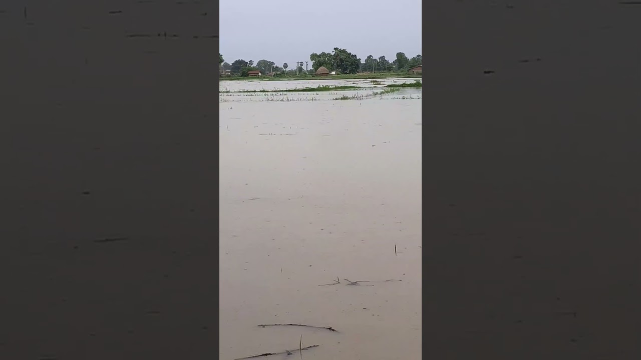 #flood