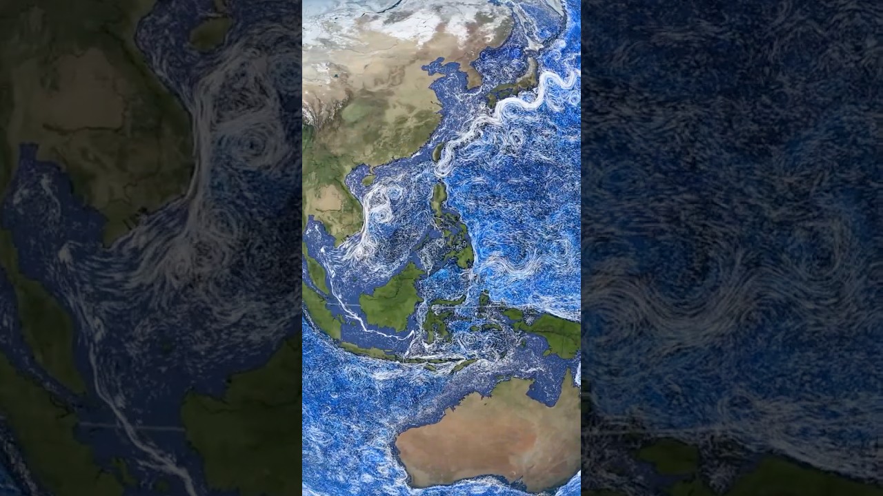 LAS AUTOPISTAS SUBMARINAS DE LA TIERRA 🌎