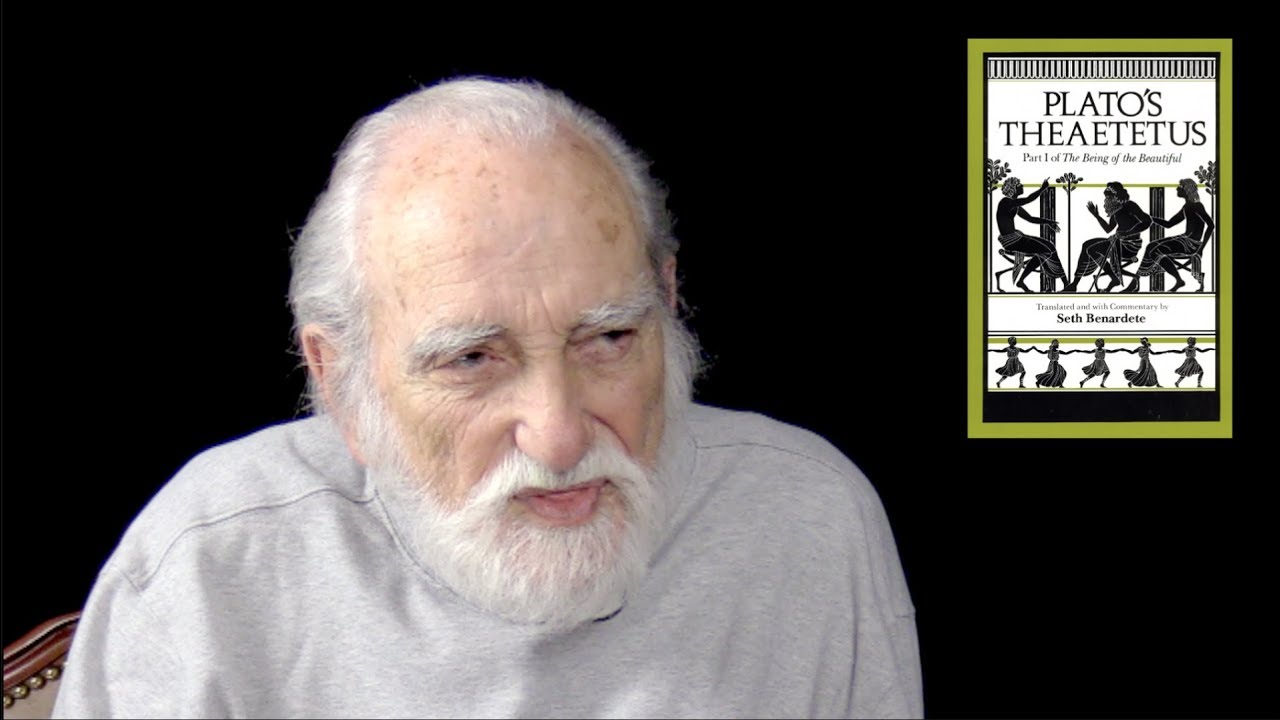 Understanding Plato with Pierre Grimes